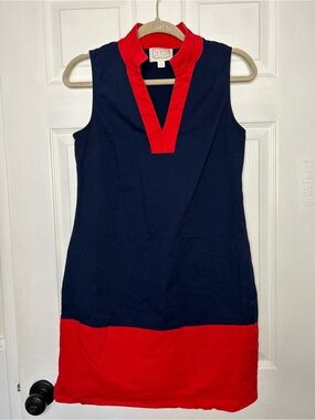 Sail to Sable Colorblocked Collared Shift Dress